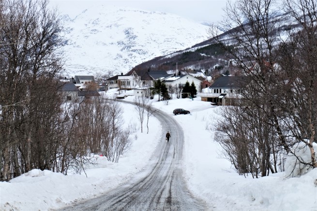 Tromso Gezi Rehberi (8)