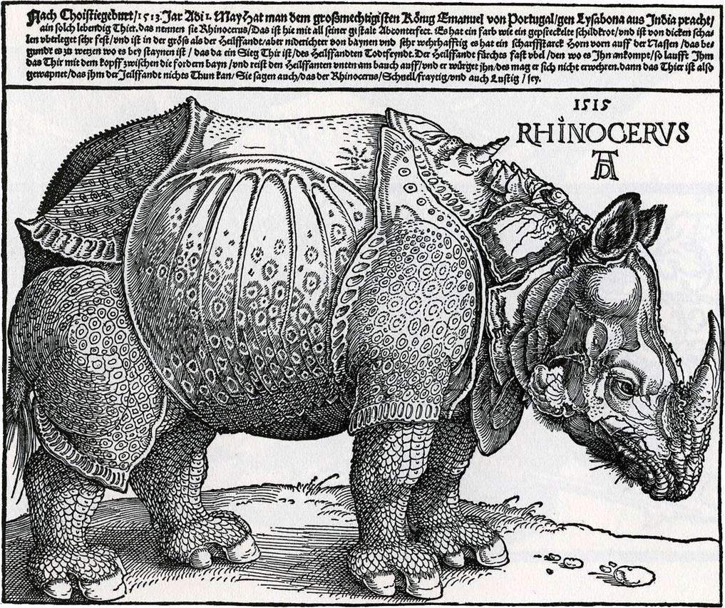 Rhinoceros Albrecht Dürer